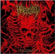 HATEFILLED - 12'' LP - A Manual Of Heinous Ways In Disembowelment
