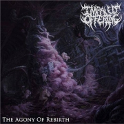 IMPALED OFFERING - CD - The Agony Of Rebirth