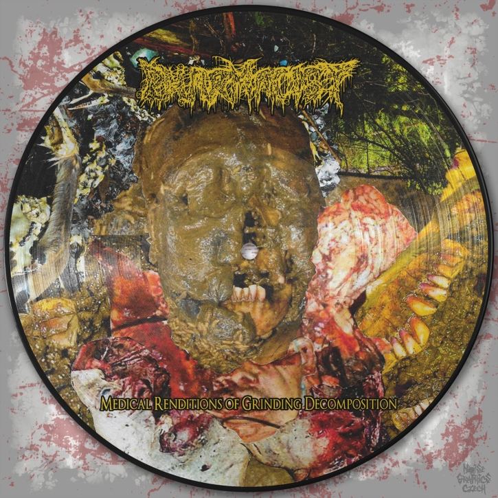 PHARMACIST - Picture 12'' LP - Medical Renditions Of Grinding Decomposition