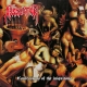 ABSOLUTION - CD - Confessions of the Inquitous