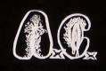AxCx / ANAL CUNT - Logo - Printed Patch