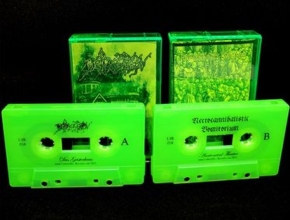 DEPRESSION / NECROCANNIBALISTIC VOMITORIUM - split Tape MC -
