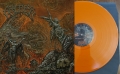 GRACELESS - 1st press Gatefold 12'' LP - Where Vultures Know (orange vinyl)