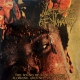 LAST DAYS OF HUMANITY - Gatefold 12'' LP - The Sound Of Rancid Juices Sloshing Around Your Coffin (Blood & bone swirl Vinyl)