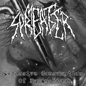 MEAT SPREADER - 12'' LP - Excessive Consumption Of Human Flesh