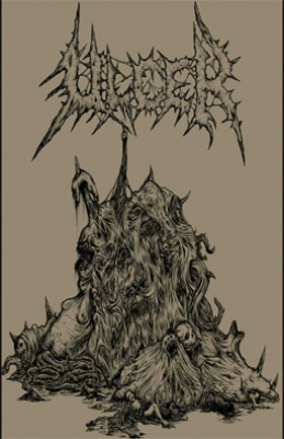 ULCER / NECROCANNIBALISTIC VOMITORIUM - split Tape MC -